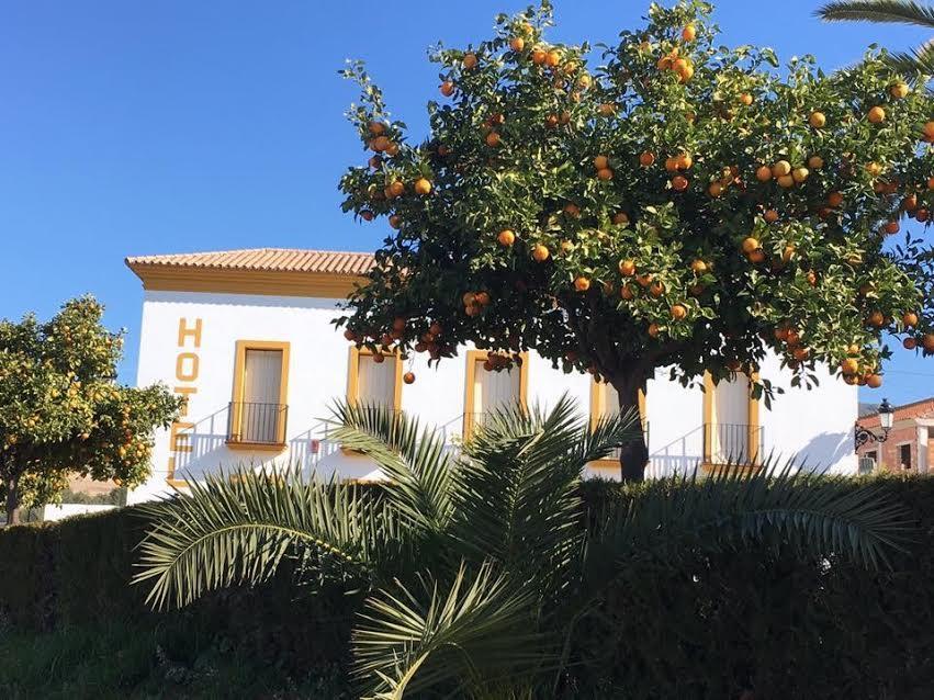 Hotel Andalou Montellano Dış mekan fotoğraf